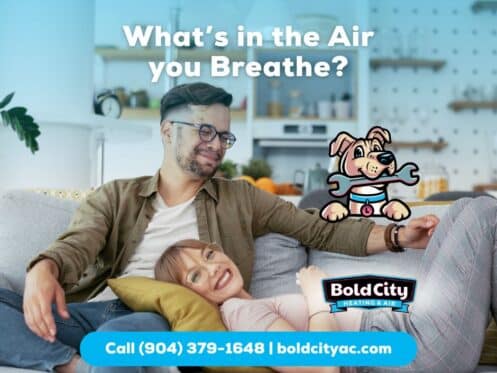 Breathe Cleaner at Home