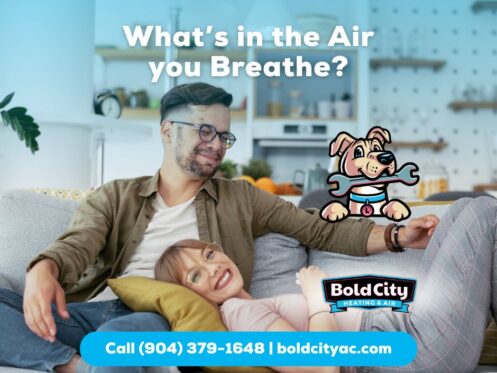 Breathe Cleaner at Home