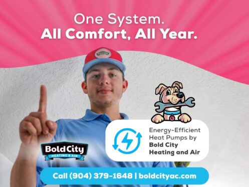 Heat pumps are the MVP of year round comfort!