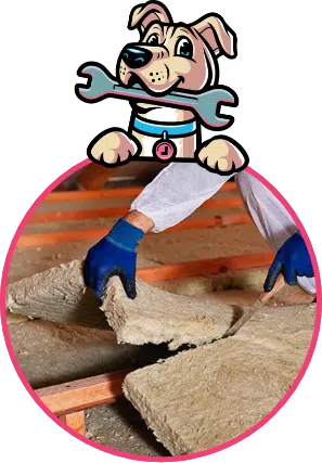 Content Image